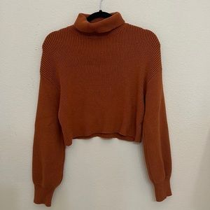 Cinnamon Turtleneck sweater